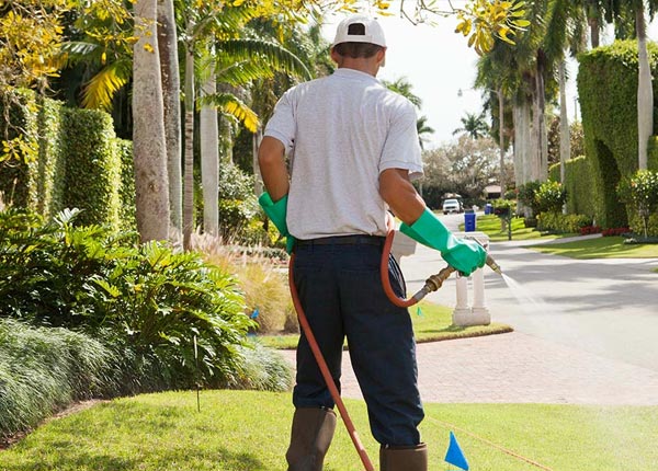 About Rose OK Pest Control